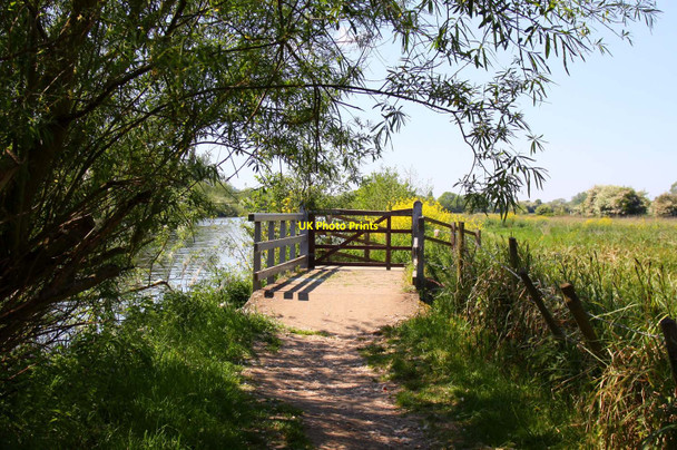 Photo 6"x4" The Thames Path crosses a stream Wallingford c2010