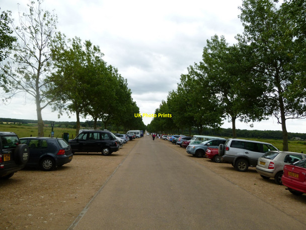 Photo 6"x4" Holkham: Lady Ann's Drive, looking south Wells-Next-The-Sea c2010