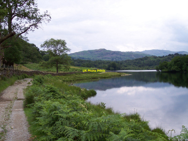Photo 6"x4" Path on south bank of Rydal Water Ambleside c2010