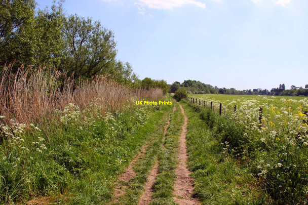 Photo 6"x4" The Thames Path to Wallingford Wallingford c2010