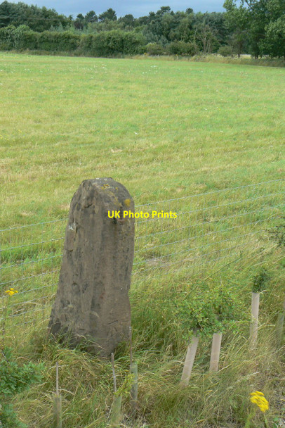 Photo 6"x4" Gatepost on Ollerton Road Calverton\/SK6149 c2010