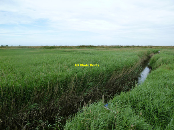 Photo 6"x4" Cley: reed beds largely obscuring a small creek near the windmill Cley next the Sea c2010