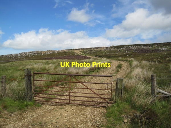 Photo 6"x4" Track to Disused Quarry Eals\/NY6755 c2010