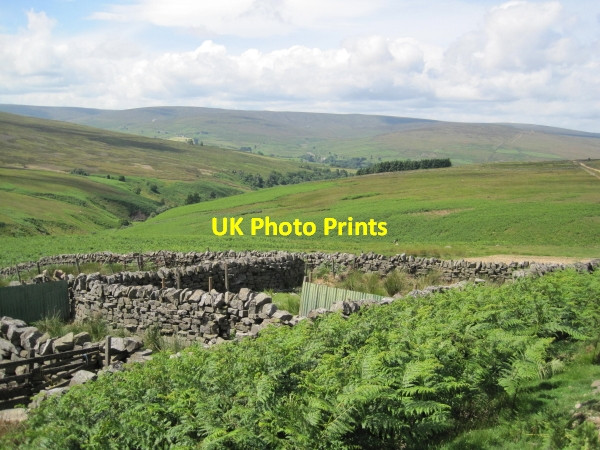 Photo 6"x4" Sheep Pens, Snope Common Eals\/NY6755 c2010