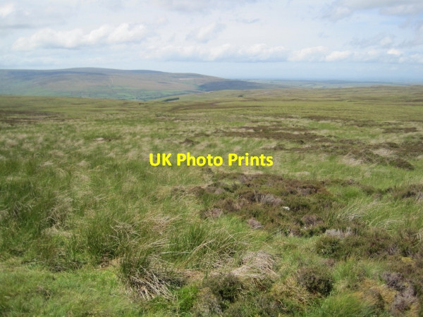 Photo 6"x4" Snope Common Whitfield Lough c2010