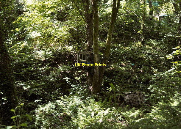 Photo 6"x4" A Tree House in Crowness Cleave Ilfracombe c2010