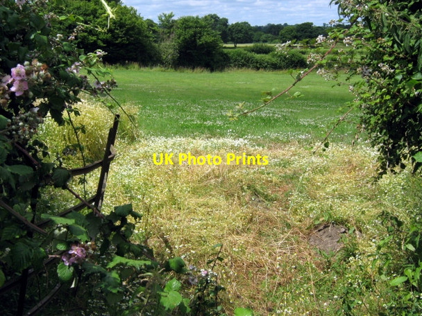 Photo 6"x4" Fields near Mill Farm, Dinnington Dinnington\/ST4012 c2010