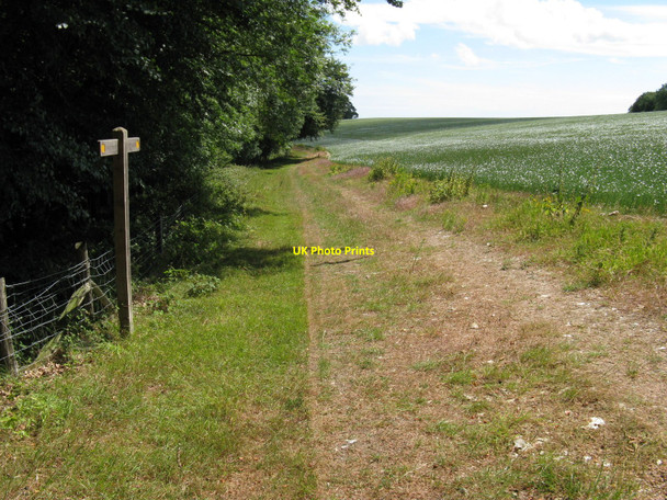 Photo 6"x4" Downland crop on Heath Hill Upwaltham c2010