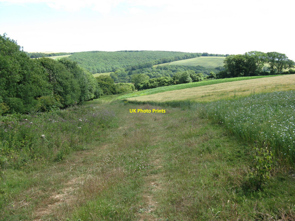Photo 6"x4" Path descending to Upwaltham Upwaltham c2010