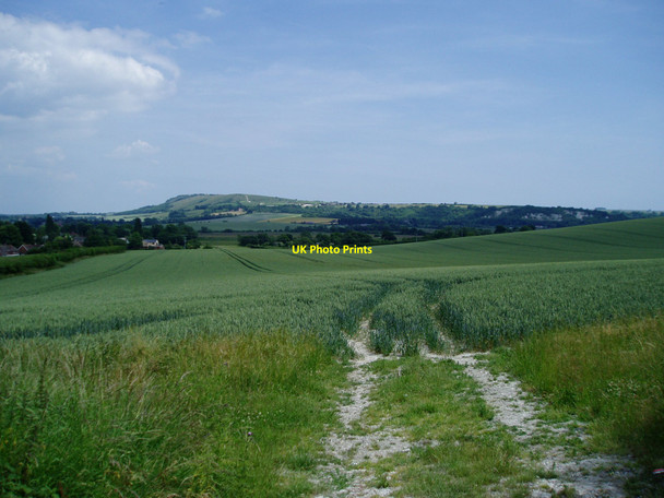 Photo 6"x4" Crops south of Bury Bury\/TQ0113 c2010