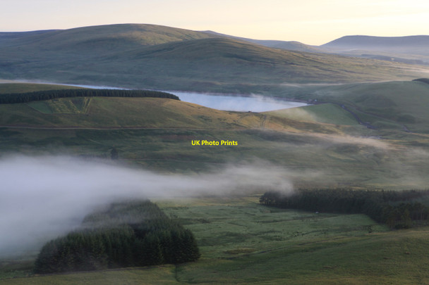 Photo 6"x4" Forestry below Mendick Hill Bogs Bank c2010