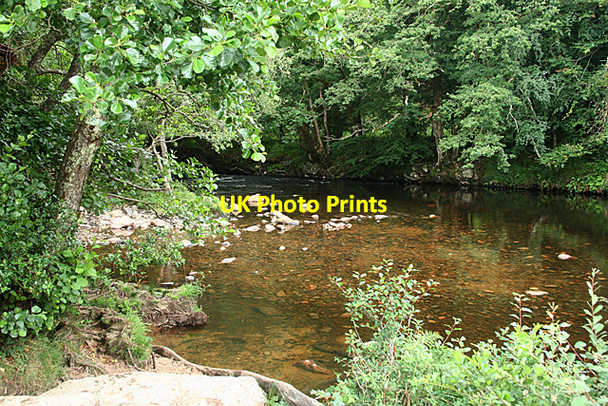 Photo 6"x4" Widecombe in the Moor: the Dart at Deeper Marsh Poundsgate c2010