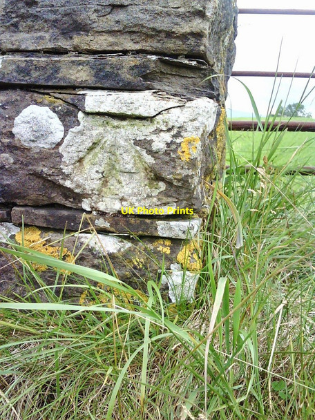 Photo 6"x4" Benchmark on New Lane wall pier Burtersett c2010