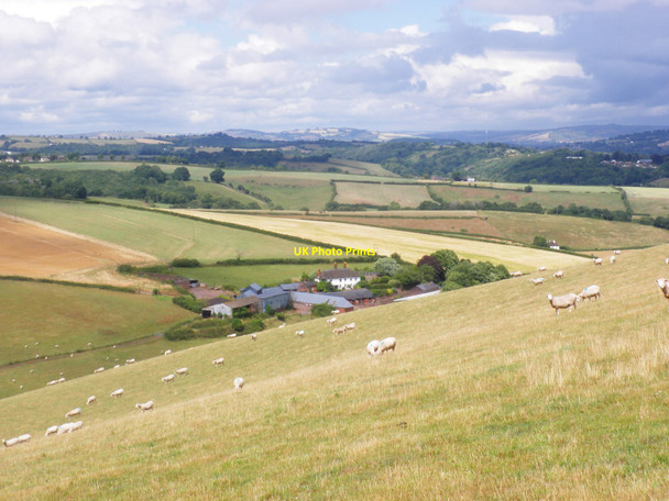 Photo 6"x4" Whiddon Farm Ide c2010