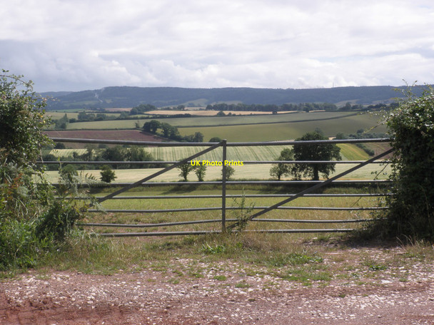 Photo 6"x4" View to the south, from Markham Cross Ide c2010