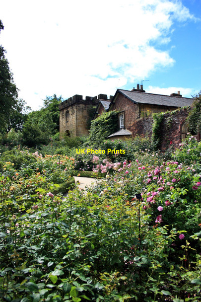 Photo 6"x4" In the Rose Garden, The Alnwick Garden Alnwick c2010