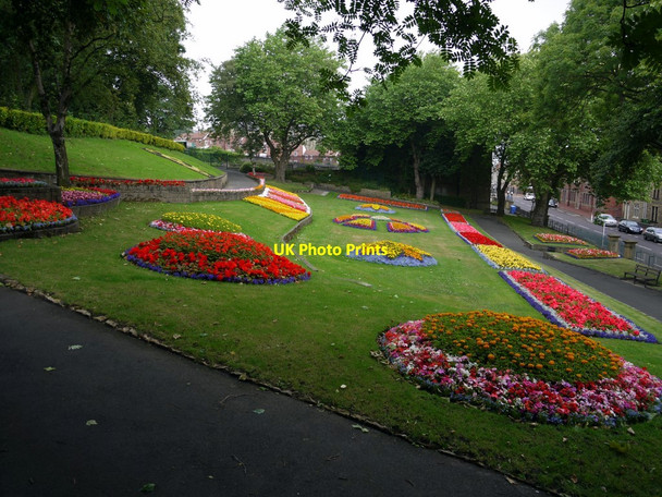 Photo 6"x4" Felling Park Felling c2010