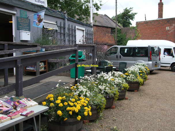 Photo 6"x4" Flowers by Canal tea shop Chichester c2010