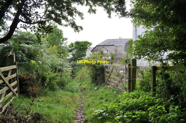 Photo 6"x4" A footpath approaching Higher Campscott Ossaborough c2010