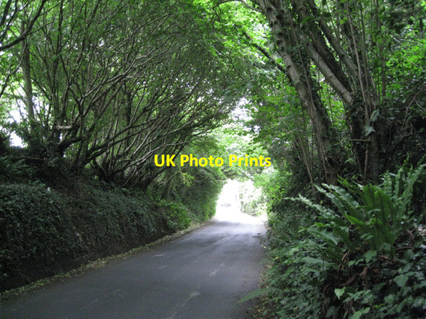 Photo 6"x4" Lane nearing Broadhempston Broadhempston c2010