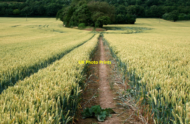 Photo 6"x4" Looking back along the path Bourton\/SO5996 c2010
