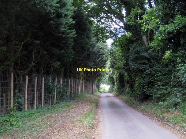 Photo 6"x4" Singledge Lane Coldred c2010