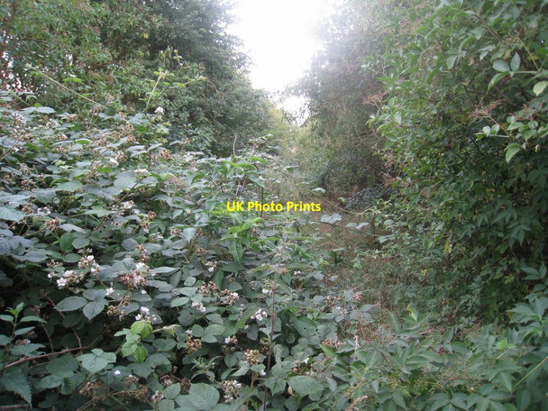 Photo 6"x4" The course of the North Lindsey Light Railway looking south West Halton c2010