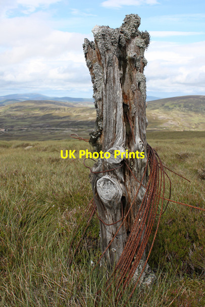 Photo 6"x4" Old strainer post on Carn na h-Ailig Carn na h-Ailig c2010