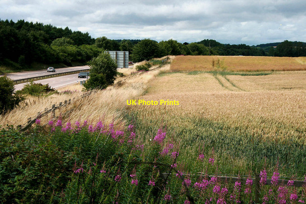 Photo 6"x4" Fields beside the M54 Tong\/SJ7907 c2010