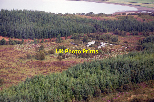 Photo 6"x4" Lochaber Highland Estates Conservation area, Keil Hill Duror c2009