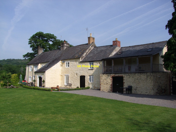 Photo 6"x4" Gelynis Farm Coryton\/ST1481 c2009