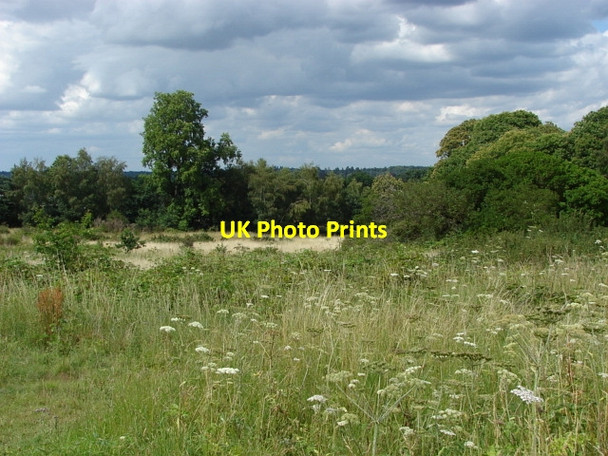 Photo 6"x4" Bagshot Heath Camberley c2010