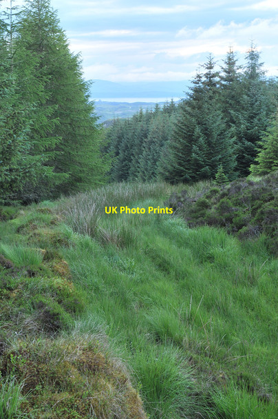 Photo 6"x4" The Old Coffin Route in Balinoe Forest Barran\/NM8825 c2010