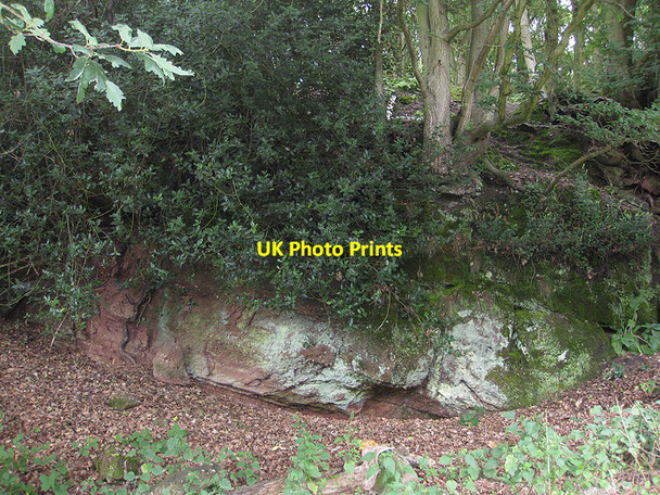 Photo 6"x4" Rock outcrop on the edge of Cornage Wood East Dean\/SO6520 c2010