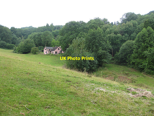 Photo 6"x4" Wooded hillside, East Dean East Dean\/SO6520 c2010