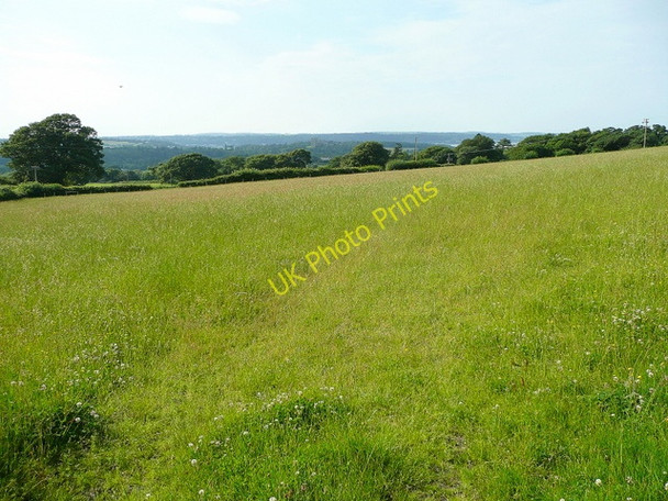 Photo 6"x4" Grassland opposite Pen-y-bryn Llanllechid c2009