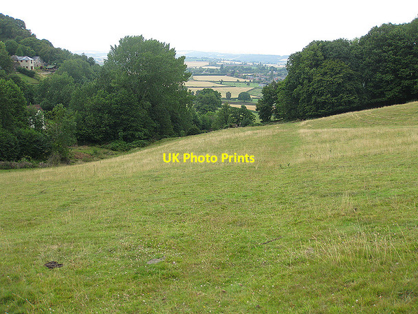 Photo 6"x4" Just discernible footpath East Dean\/SO6520 c2010