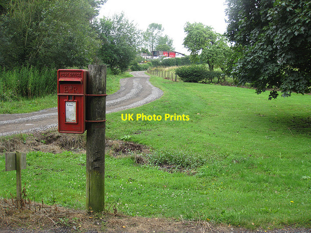 Photo 6"x4" The postbox at Wigpool Common East Dean\/SO6520 c2010