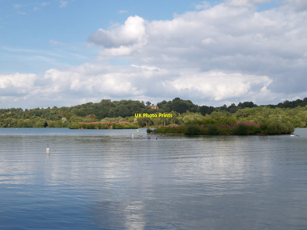 Photo 6"x4" Blashford Lake Ringwood\/SU1505 c2010