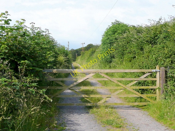 Photo 6"x4" Track to Tan-y-marian Llanllechid c2009