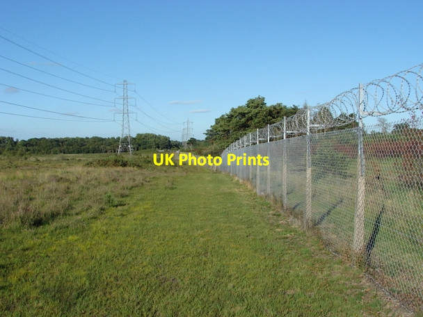 Photo 6"x4" The Folly Bog Bagshot Heath\/SU9161 c2010