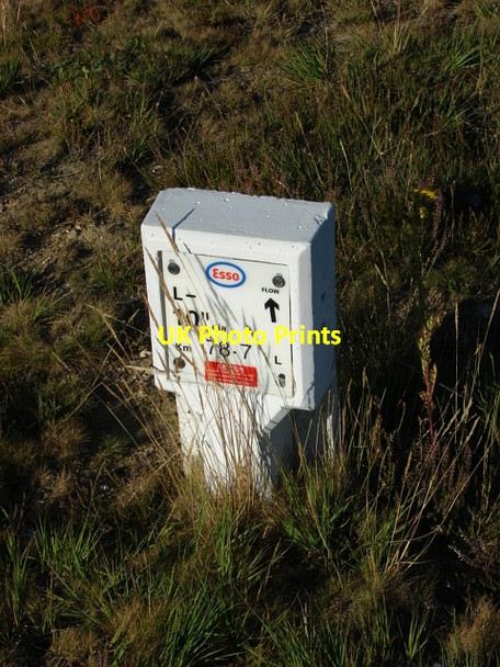 Photo 6"x4" The Folly Bog Bagshot Heath\/SU9161 c2010 P1