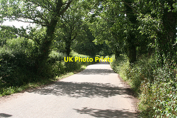 Photo 6"x4" Cullompton: lane to Lower Upton Mutterton c2010