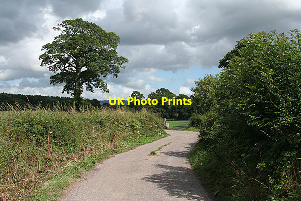 Photo 6"x4" Cullompton: lane to Andrew's Farm Mutterton c2010