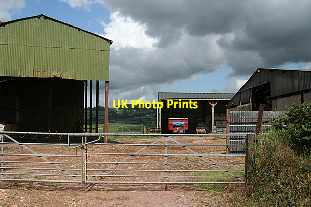Photo 6"x4" Kentisbeare: barns at Court Barton Farm Stoford Water c2010
