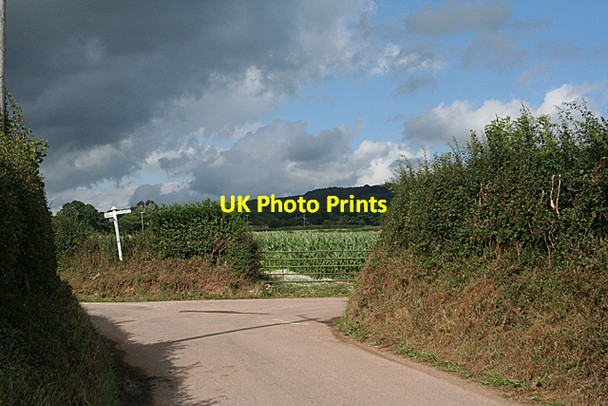 Photo 6"x4" Payhembury: Mousehole Cross Upton\/ST0902 c2010