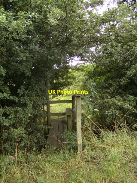 Photo 6"x4" Walk to Preston. #19 Hedon c2010