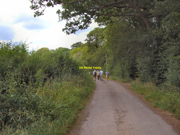 Photo 6"x4" Sidnye Plantation Brook Street\/TQ3026 c2010