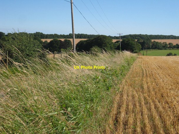 Photo 6"x4" Edge of harvested wheat field Ashley\/TR3048 c2010