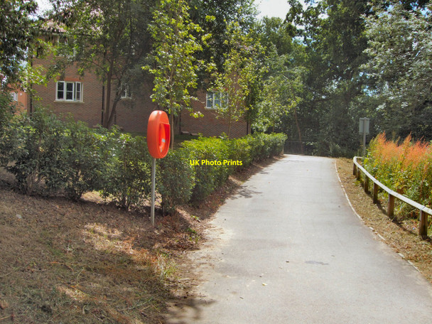 Photo 6"x4" Path to Cuckfield Whitemans Green c2010
